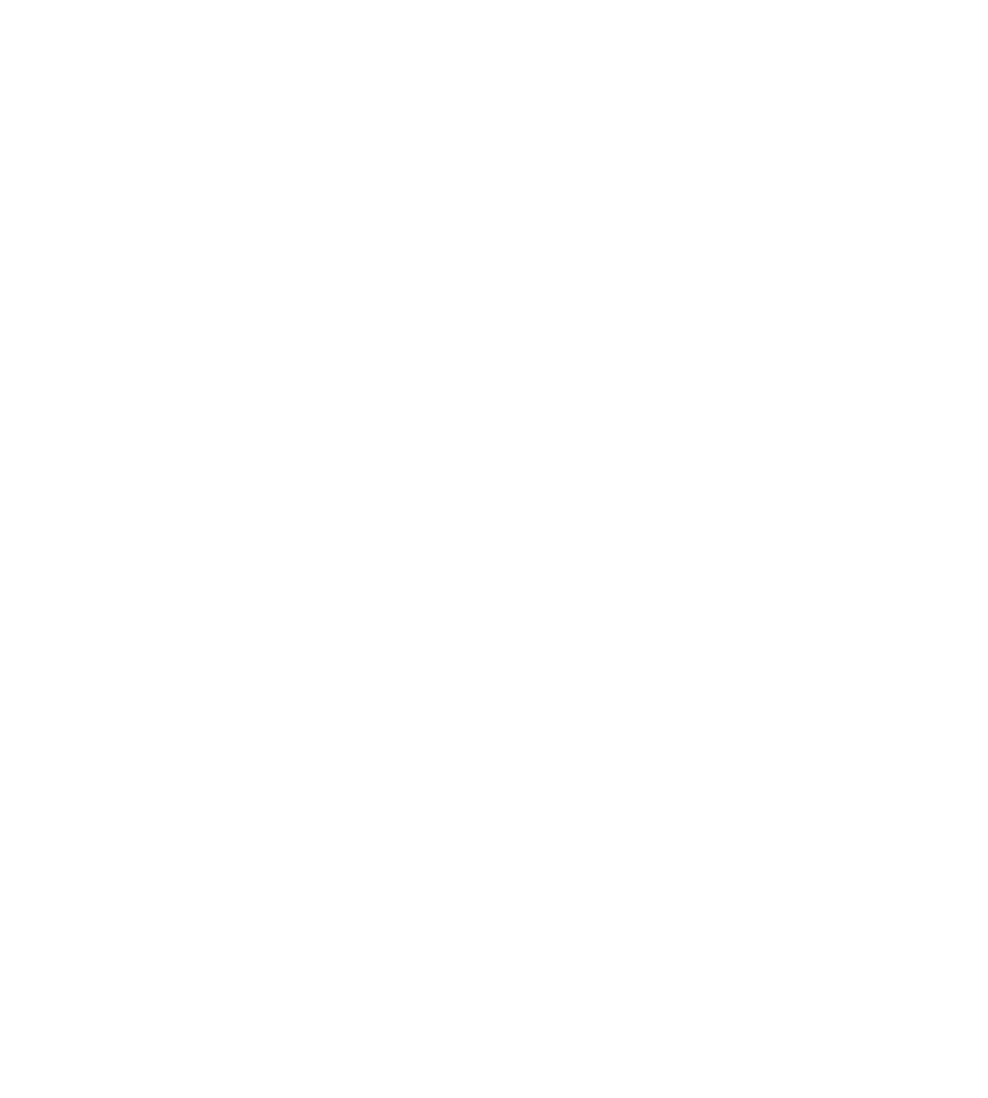 DEISEL Objekt - Komplexes Know-How